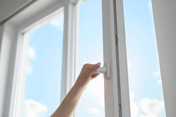 Best Energy-Efficient Windows in Savanna, IL